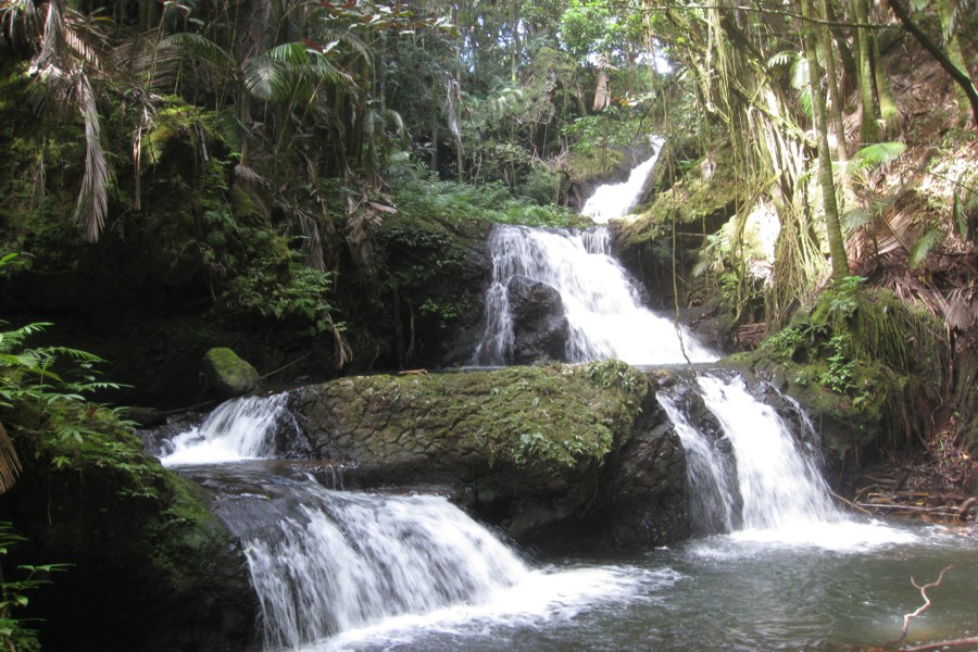 ../image/hawaii tropical botanical garden onomea falls 1.jpg